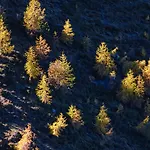 Guest house Haus An Der Ache Fieberbrunn