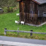 Haus An Der Ache 3*