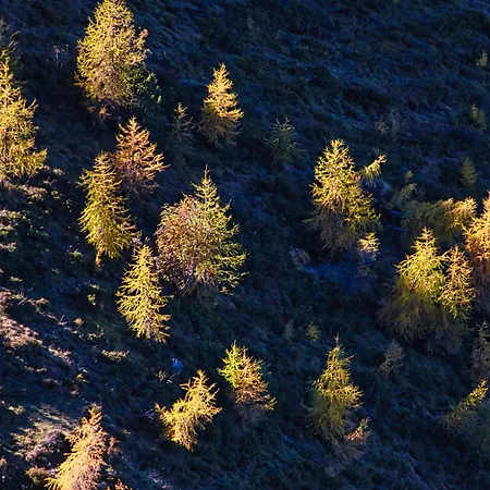 Pensjonat Haus An Der Ache Fieberbrunn